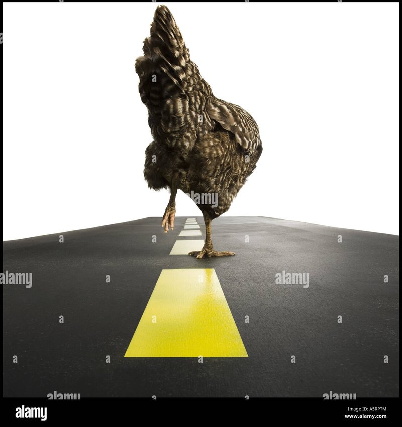 Chicken road online - Een Glimpse op de Zeldzame Avonturen van Chicken Road in Nederland
